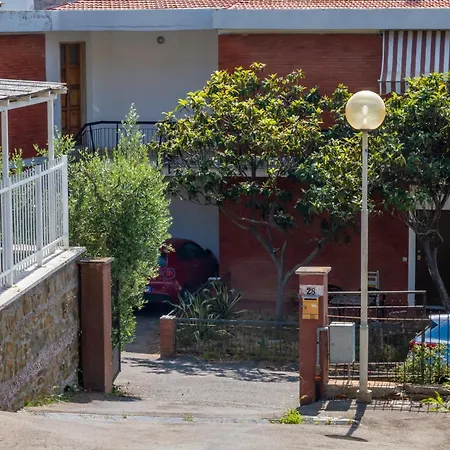 L'elicriso Castiglione della Pescaia