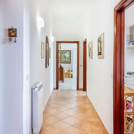 L'elicriso Castiglione della Pescaia