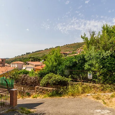 L'elicriso Castiglione della Pescaia